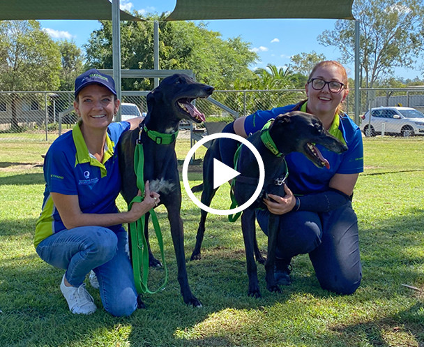 RQ-At-The-Heart-Of-Racing-VideoTile-Greyhounds.jpg