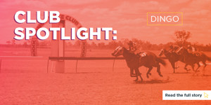 RQT-Club-Spotlight-800x400px-Dingo.jpg