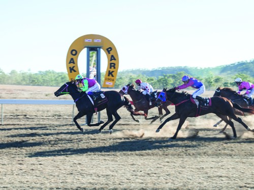 Oak-Park-Race-Club-06-web.jpg