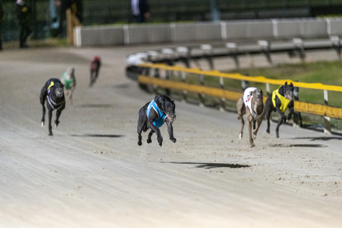 Race-4-Regal-Rocky-DSC-4664-jpg.JPG