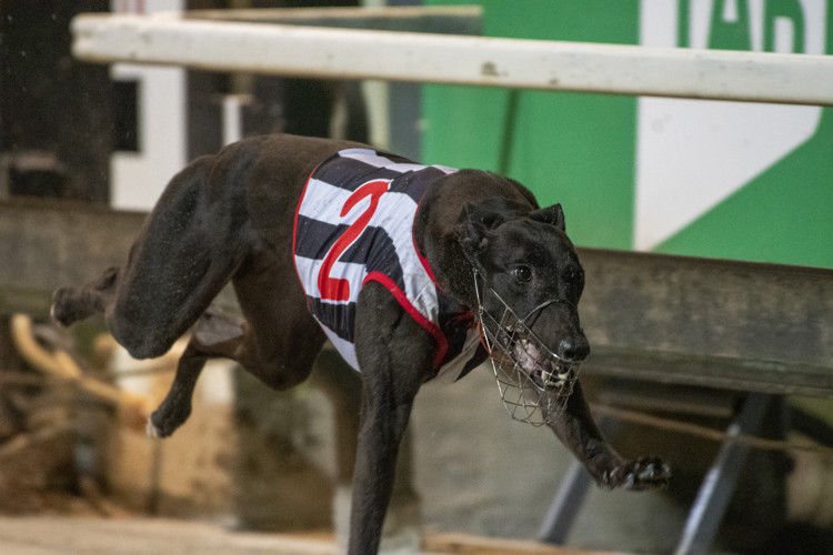 Race-6-Dulceria-DSD-1062-jpg.JPG