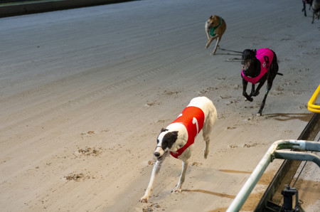 Race-6-Kooringa-Lucy-DS4-0878-jpg.JPG