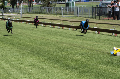 Race-9-Kismet-Storm-DSD-0591-JPG.JPG