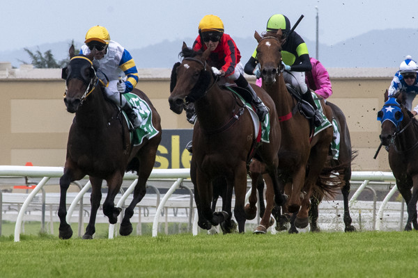 R2-Teranga-Steven-O-Dea-and-Matthew-Hoysted-Michael-Hellyer-protest-winner-not-many-photos-3.jpg