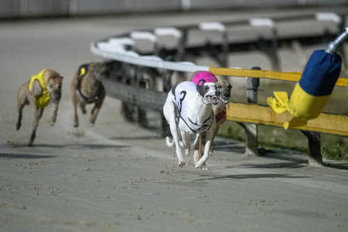Race-11-Kiss-And-Spin-DS5-7737-jpg.JPG