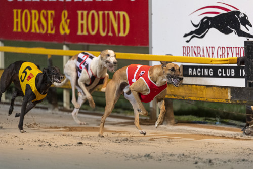 Race-7-Burnt-Ends-DSC-8191-jpg.JPG