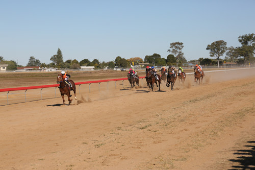 Bundaberg-04-Web-Cup-2015-field-down-straight.jpg