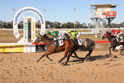 Bundaberg-05-Web-Cup-2015-close-finish-at-post.jpg