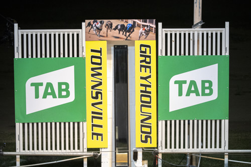 Townsville-Greyhounds-DSC-6984-jpg.JPG