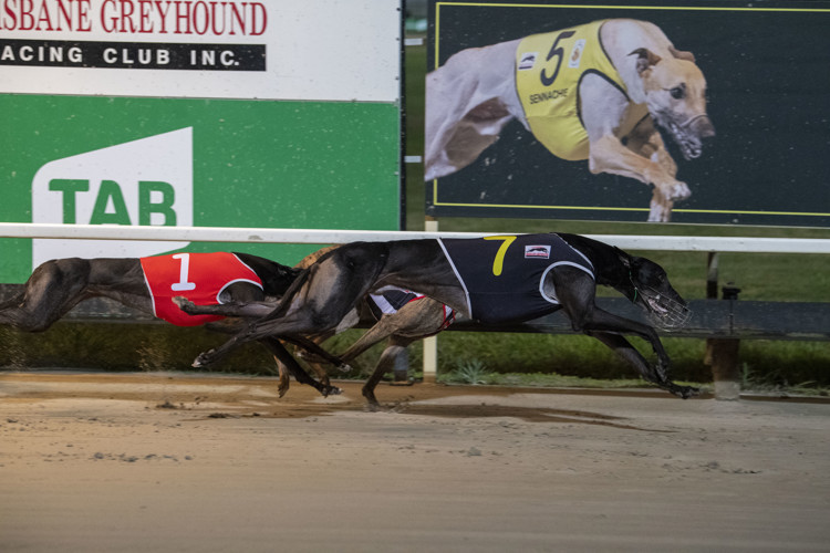 Race-3-Shian-Cody-DSE-6703-jpg.JPG Race-3-Shian-Cody-DSE-6703-jpg.JPG