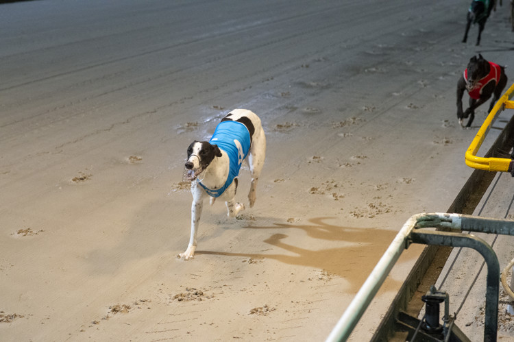Race-11-Jagger-Moves-DS4-0771-JPG.JPG Race-11-Jagger-Moves-DS4-0771-JPG.JPG