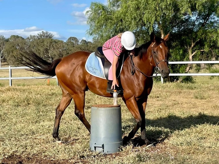 OTT-horse-again.jpg