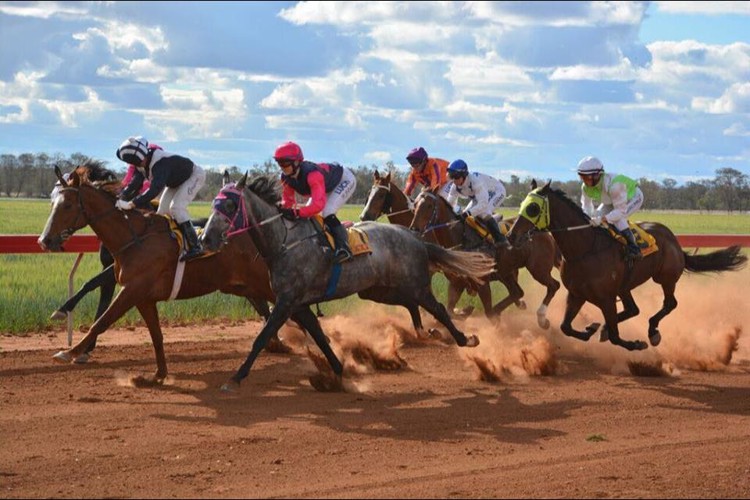 Talwood-Race-Club-facebook-01.jpg Talwood-Race-Club-facebook-01.jpg