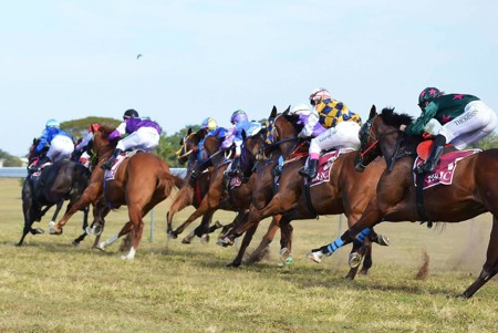 Herbert-River-Jockey-Club-facebook-01.jpg