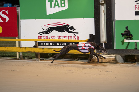 Race-5-I-m-Explosive-DSE-1974-jpg.JPG