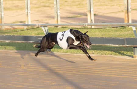 R8-Excuse-Me-Jack-030921-2.jpg