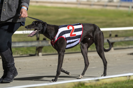 Race-6-Light-My-Flyer-DSC-4758-jpg.JPG
