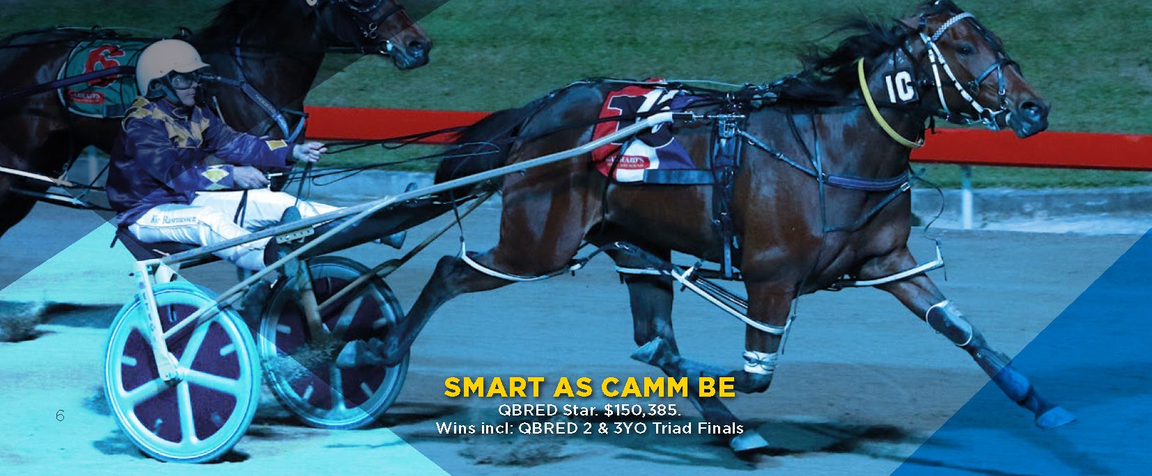 RQ-H-11290-QBRED-Brochure-A4-FA-Page-06.jpg