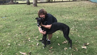 Greyhound's new lease of life after rare hip replacement