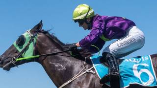 Ainsworth bracing for another emotional day at Beaudesert