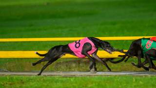 Benny’s back-end blitz all owner is focused on