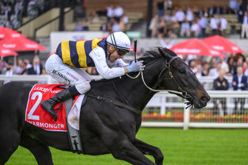 Queensland Derby Day