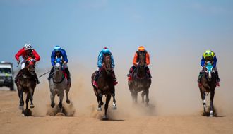 Dalby trainer Pat Richardson makes annual trip to Birdsville Cup