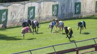 Herr hoping Infra Terra finally displays true talent