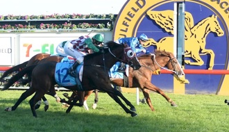 He beat a Melbourne Cup champ, now he's trackside at the Gold Coast