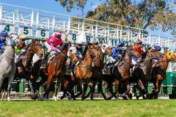 Rockhampton Newmarket Day