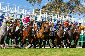 Rockhampton Newmarket Day