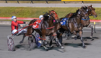 Owners, trainers and breeders, QBRED survey